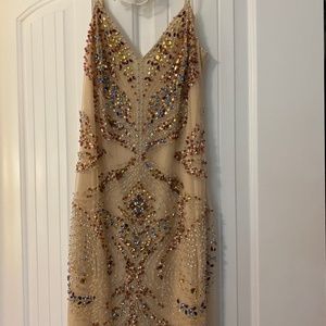 Basix Black Label champagne cocktail dress